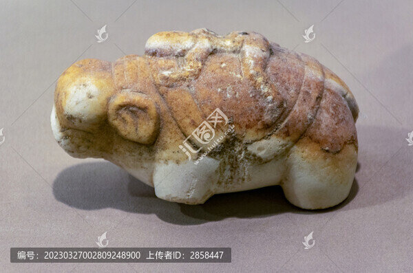 白石象