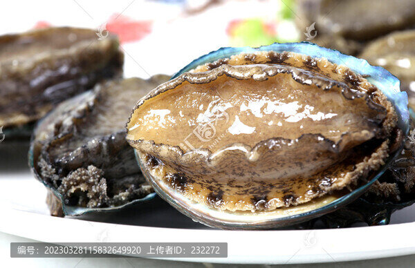 大連鮑魚