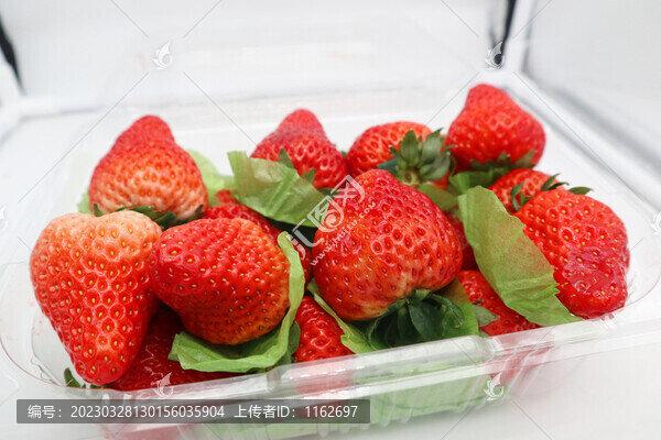 草莓