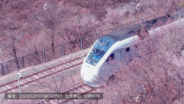 開(kāi)往春天的火車(chē)