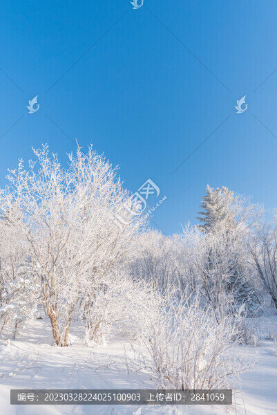 冬季長白山的雪地和霧凇