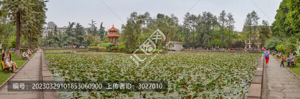 四川大學(xué)聽荷池全景圖