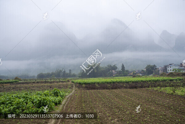 春天煙雨霧