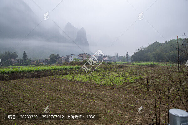 春天煙雨霧