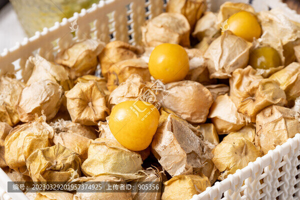 姑娘果燈籠果