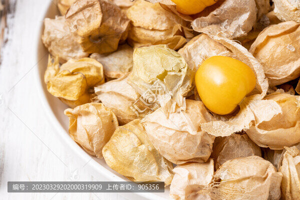 姑娘果燈籠果