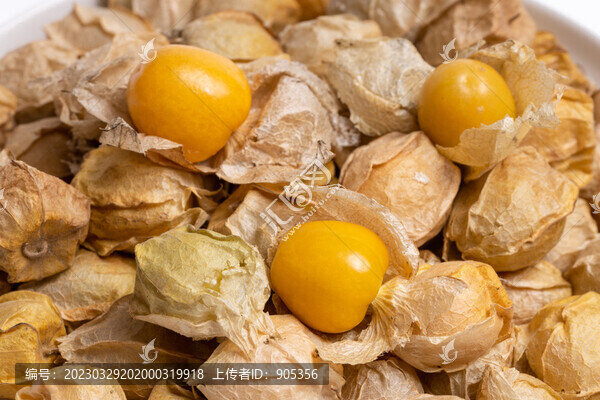 姑娘果燈籠果