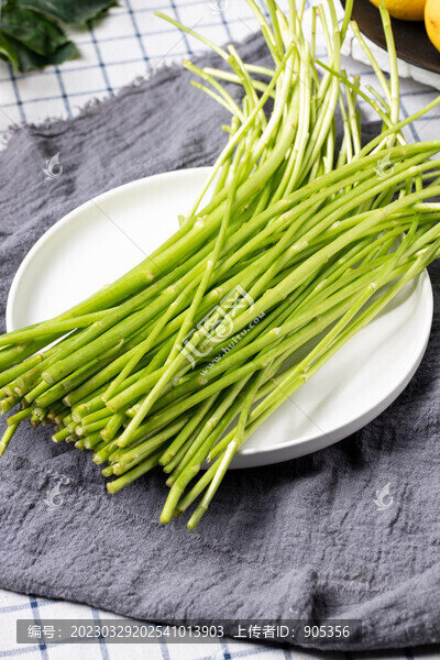 蘆蒿桿