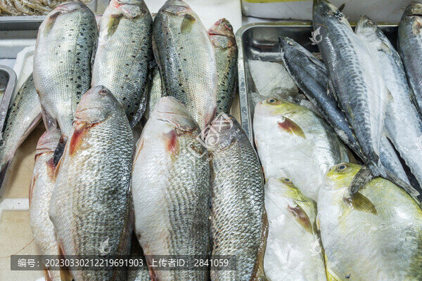 年貨展一堆凍魚(yú)特寫(xiě)