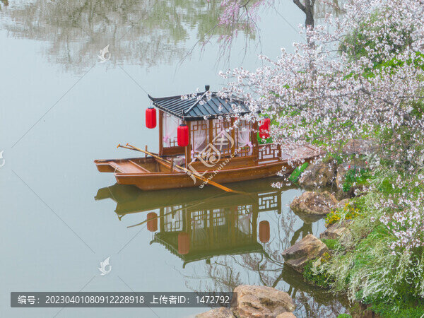 武漢東湖磨山櫻花園春季風光