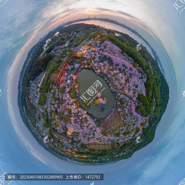 武漢東湖磨山櫻花園夜景風光