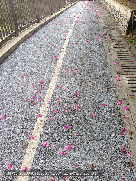 簕杜鵑谷公園