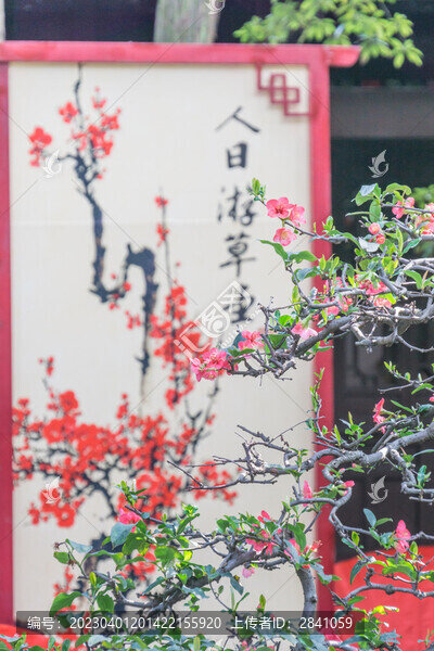 春天中國成都的杜甫草堂