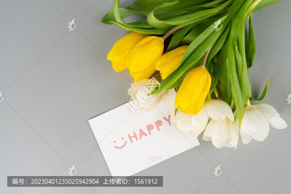 郁金香