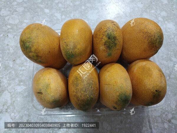 小臺芒