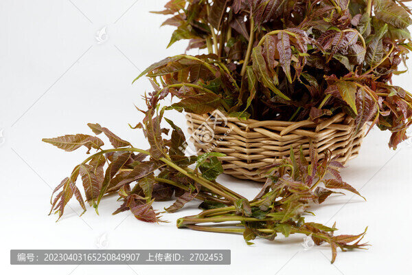 紅香椿-匯圖網(wǎng) www.fosd68.com 紅香椿