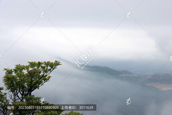 云海