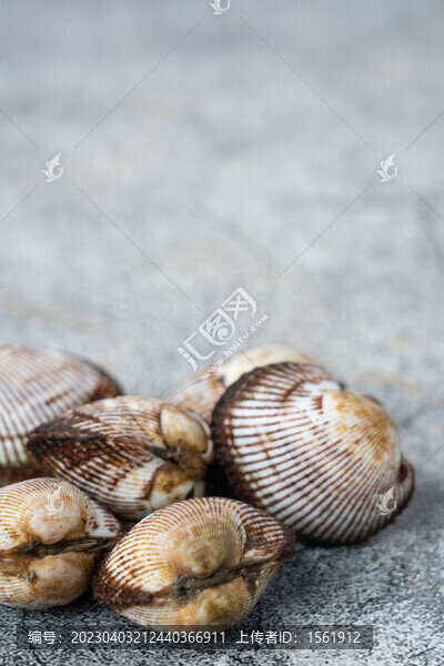 毛蛤蜊海鮮