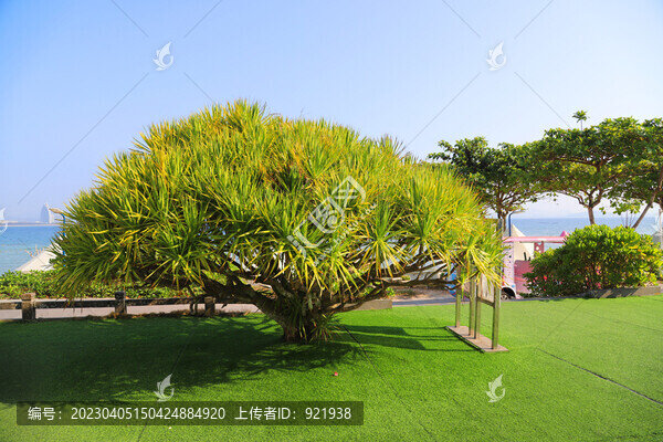 蜈支洲島