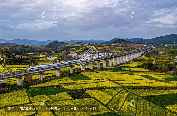 陜西漢中開往春天的列車