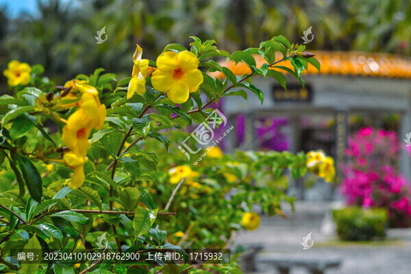 三亞南山文化旅游區(qū)
