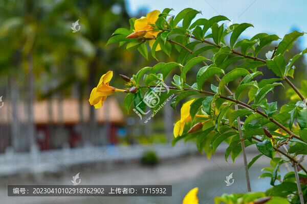 三亞南山文化旅游區(qū)