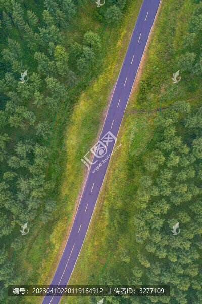 森林與公路航拍