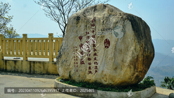 紅河甲寅梯田