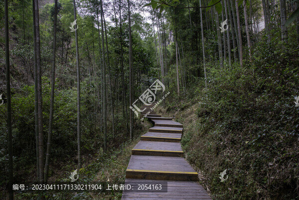 福建省泰寧縣寨下大峽谷