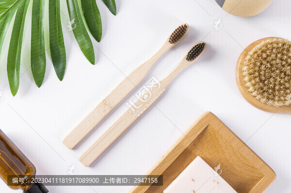 環(huán)保木制低碳衛(wèi)生洗護護理