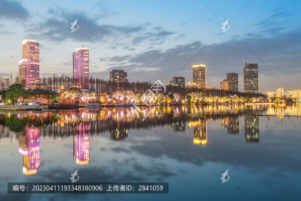 南京玄武湖公園夜景