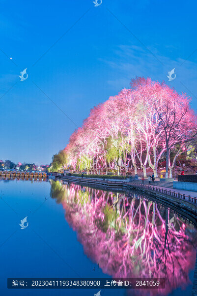 南京玄武湖公園夜景
