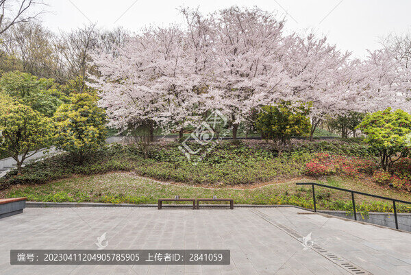江蘇南京牛首山景區(qū)風光
