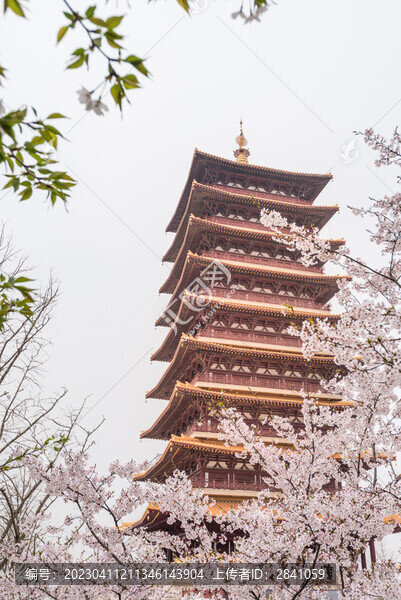 南京牛首山的櫻花和古建筑