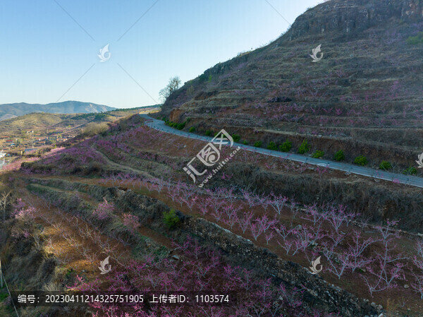 蒙陰岱崮地貌桃花節(jié)