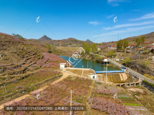 蒙陰岱崮地貌桃花節(jié)
