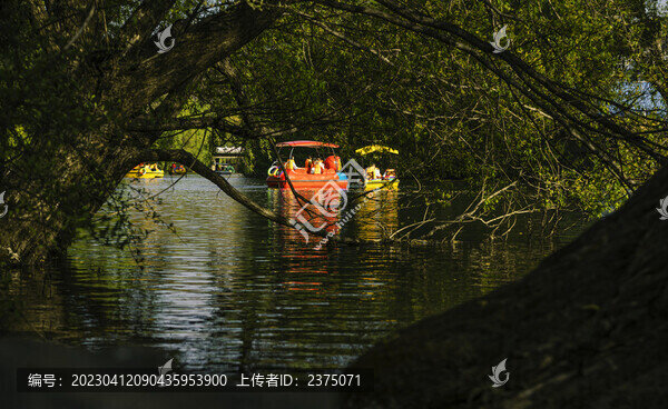 春光乍泄