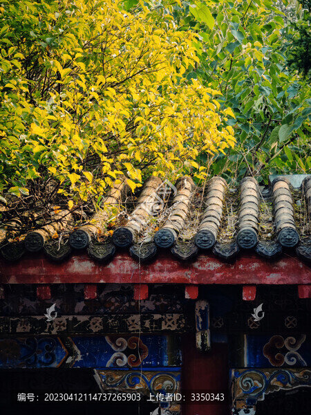 古建陽光