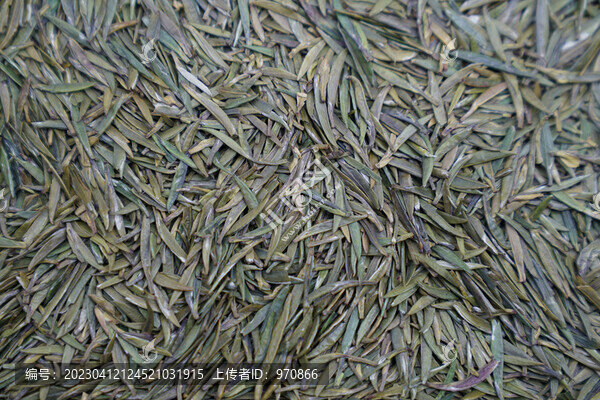 茶干茶葉翠芽雀舌高清素材