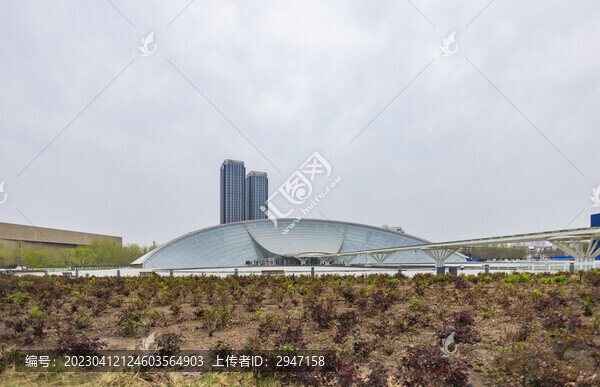 天津文化中心博物館建筑景觀