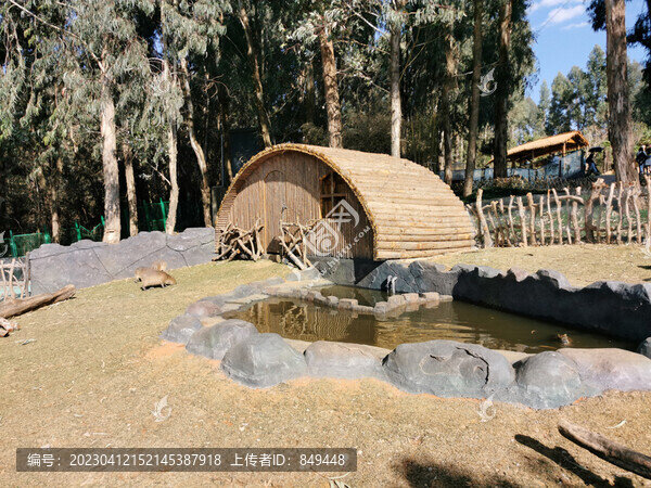 動(dòng)物園景觀