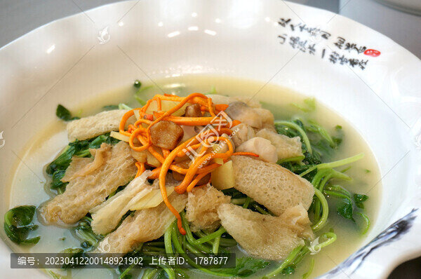 竹笙浸菜苗