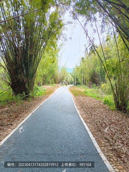 竹林棧道