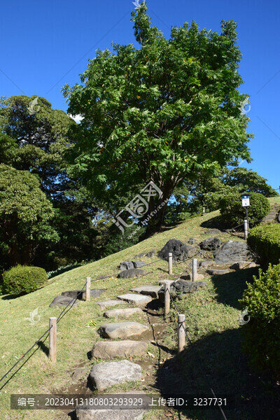 日本東京濱離宮恩賜庭園風(fēng)景
