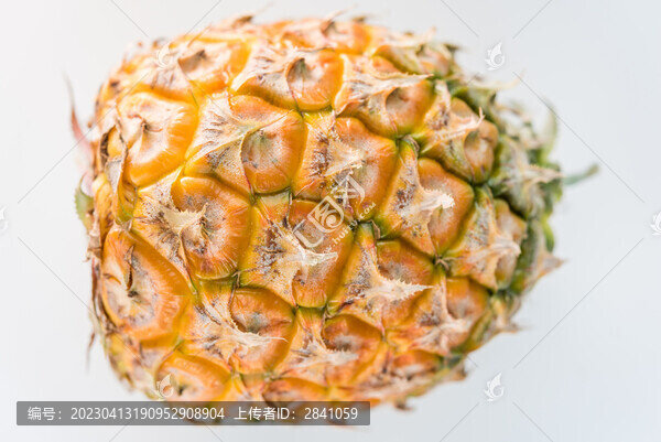 棚拍新鮮的菠蘿