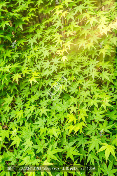 南京棲霞山園林