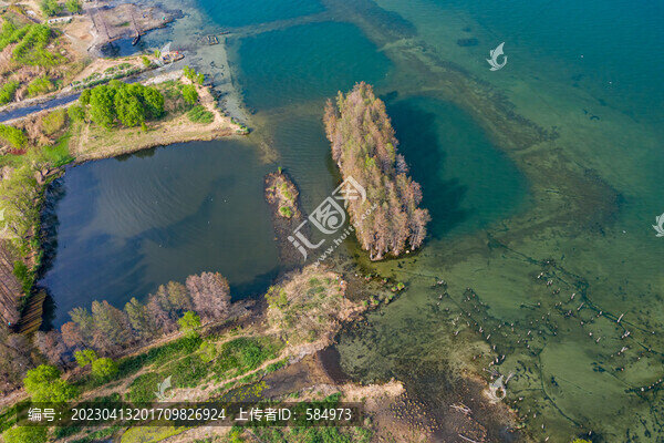 航拍云南大理洱海生態(tài)廊道美景