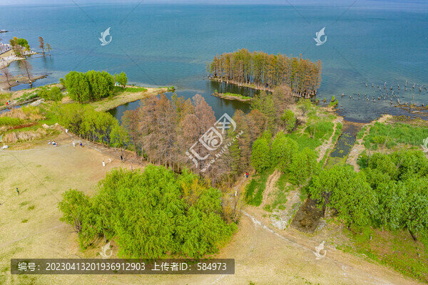 航拍云南大理洱海生態(tài)廊道美景