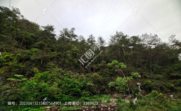 龍?jiān)瓷介g溪流