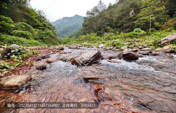 龍?jiān)瓷介g溪流